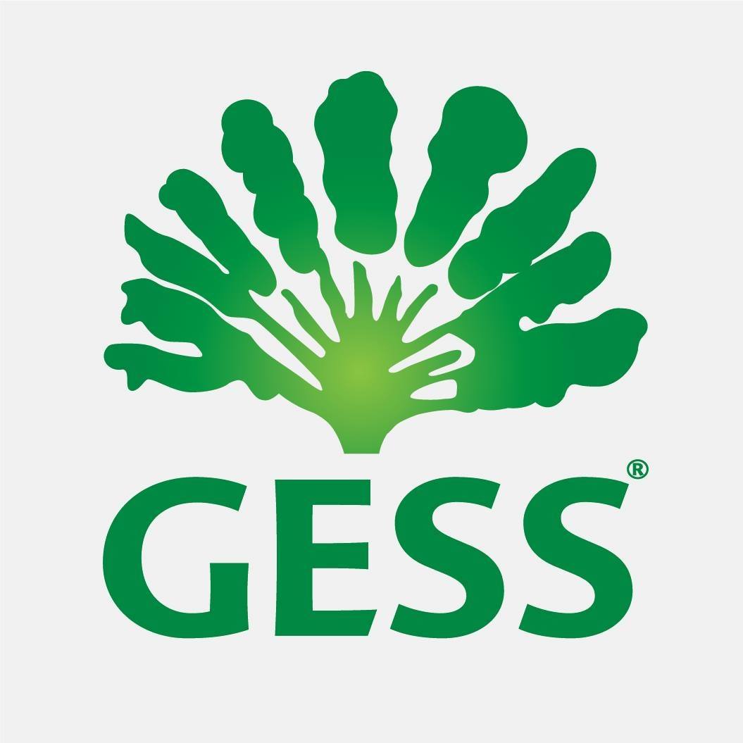 german-european-school-singapore-logo