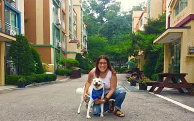Alejandra: 7 years, 4 international schools, and ready for more!